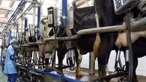 Hi-tech agriculture: a solution and a challenge
