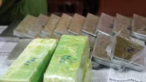 Nghe An Police active in action month against drugs