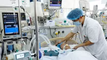 Vietnam cooperates with WHO to address health priority issues