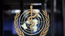 WHO sees 'potentially positive data' on COVID-19 treatments