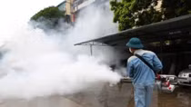 More than 95% of Hanoi’s dengue hotbeds under control