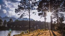 A wonderful “Da Lat in Northwestern province”