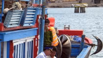 Ministry urges localities to continue fighting IUU fishing