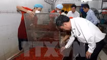HCM City takes drastic measures to ensure food safety