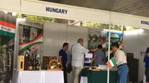 Festival promotes friendship between city residents, expats