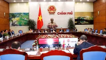 Permanent Deputy PM urged to investigate traffic accident in Ha Nam