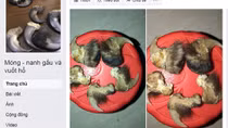 In Vietnam, Facebook is a marketplace for cheap fakes and endangered wildlife parts