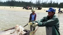 Concerted efforts exerted to bring back calm sea