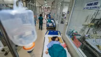 Hanoi to take action to prevent dengue fever