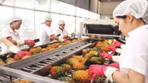 Vietnam expands fruit and vegetable export market