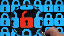 29/80 portals of governmental agencies are at risk