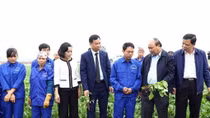 PM calls for application of technology in agricultural production