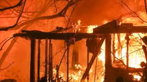 No Vietnamese victims reported in wildfires in California