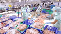 Aquatic product exports up 3 percent in Q1