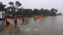 Khanh Hoa: Landside-caused house collapse claims three lives