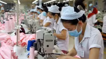 Over 64,500 new enterprises set up in first half of 2018