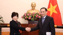 Vietnamese, Japanese foreign ministries seek stronger cooperation