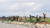 Ca Mau to build 2,000m of sea embankments