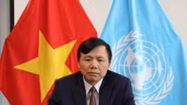 Vietnam backs two-state solution to Israeli-Palestinian conflict