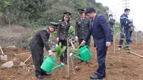 MPS holds tree-planting event 