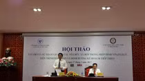Vietnam's wood processing industry "thirsty" for raw materials