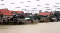 Netherlands to help Vietnam with 2.34 million USD flood aid package
