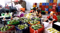Vietnam’s fruit, vegetables export sees impressive growth