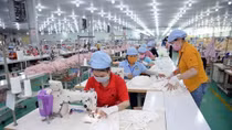 Vietnam exports 850 million masks in eight months