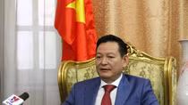Bomb attack in Egypt: Eight Vietnamese recover and could return home