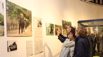  Modern technology can change the way museums run
