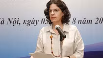 Vietnam-Cuba solidarity model for int’l relations: diplomat
