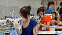VN growth resilient to global slip