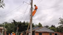 Tay Ninh: 175 billion VND for upgrade of power grid works