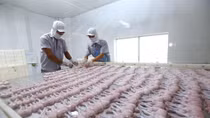 Vietnam-UK trade to benefit from EVFTA: Official
