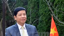 Japanese Emperor visit, important landmark for Vietnam-Japan ties