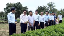 Deputy PM urges creativity in building new rural areas