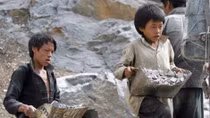 Vietnam still lacks legal framework to protect child labor