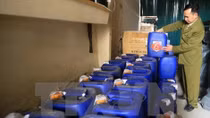 Action month on food safety launched nationwide