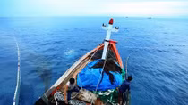 Quang Binh recovers after marine pollution