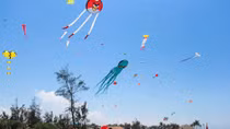 Da Nang gears up for Sea Festival 2019