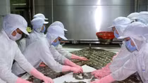 Seafood exports hoped to fetch US$7.1 billion in 2017