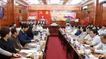 Japanese businesses seek investment opportunities in Binh Phuoc