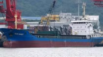 Five Vietnamese sailors missing as vessel sinks off Japan