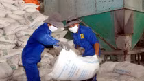 EVFTA to grow Vietnam’s fertilizer industry