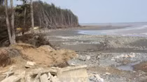 Tra Vinh to relocate 700 erosion-affected households