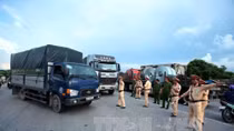 Hotlines on traffic safety announced