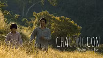 77 entries for 2017 Vietnam Film Festival 