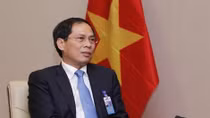 Diplomatic sector to focus on serving development: Deputy Foreign Minister