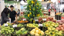 Fruit, vegetable export targets unlikely to be achieved in 2020