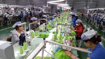 EVFTA opens new era in Vietnam-EU trade ties: Italian experts